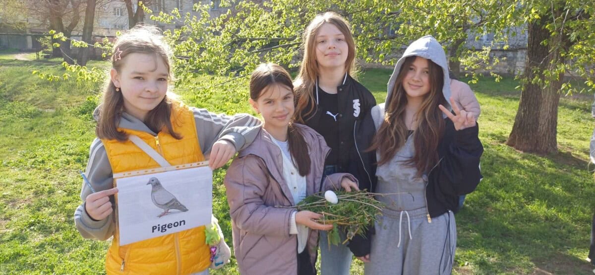 STEM-урок «The Best Nest»